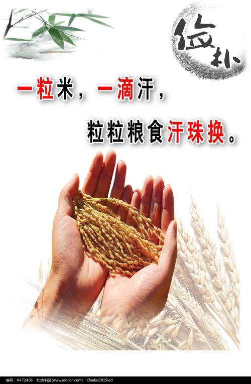 威斯康星大学系统MechanicalManufacturingDegree